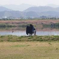 영수