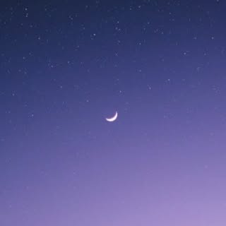 순자